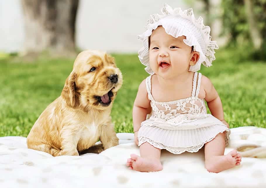 Beneficios de tener perro en niños