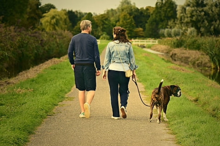 El primer paseo