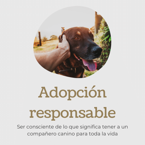 Adopción responsable