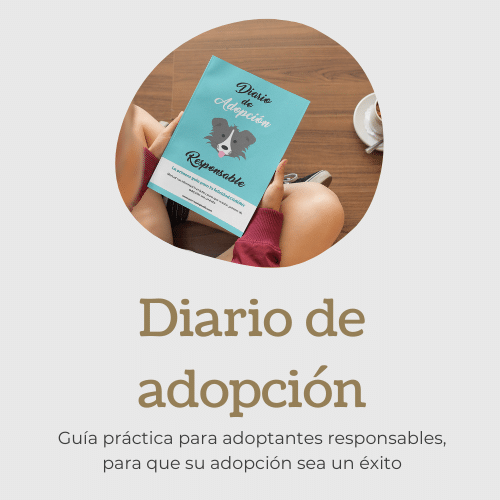 Diario de adopción responsable