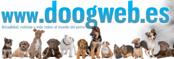 DoogWeb