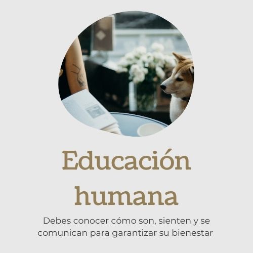 Educaciónhumana