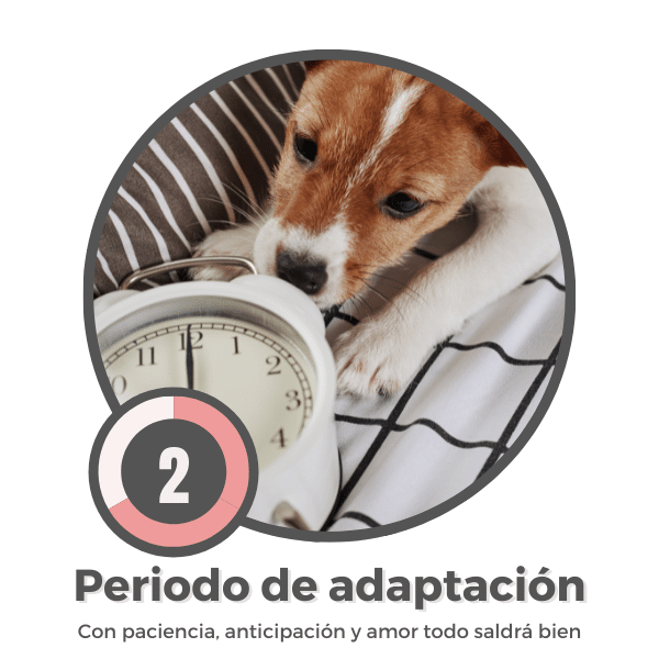 Periodo-de-adaptacion