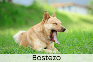 Bostezo