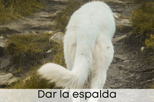 Dar la espalda