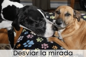 Desviar la mirada