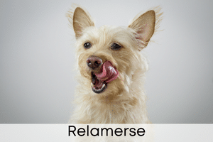 Relamerse