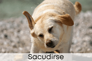 Sacudirse